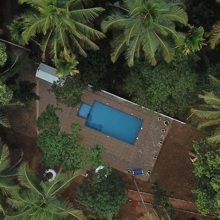 Paddyfield Inn Mananthavady Exterior foto